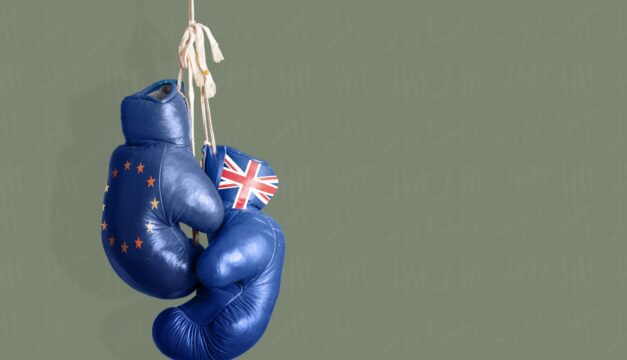 Brexit Boxing Gloves
