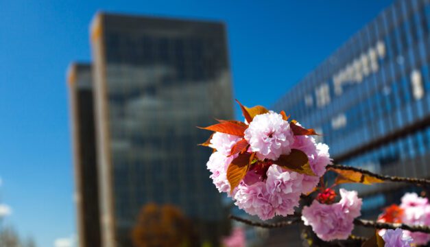 Court of Justice of the European Union